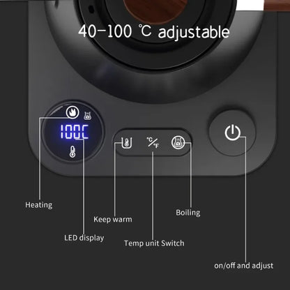 900ML Electric Gooseneck Kettle with Temperature Control for Pour Over Coffee & Tea